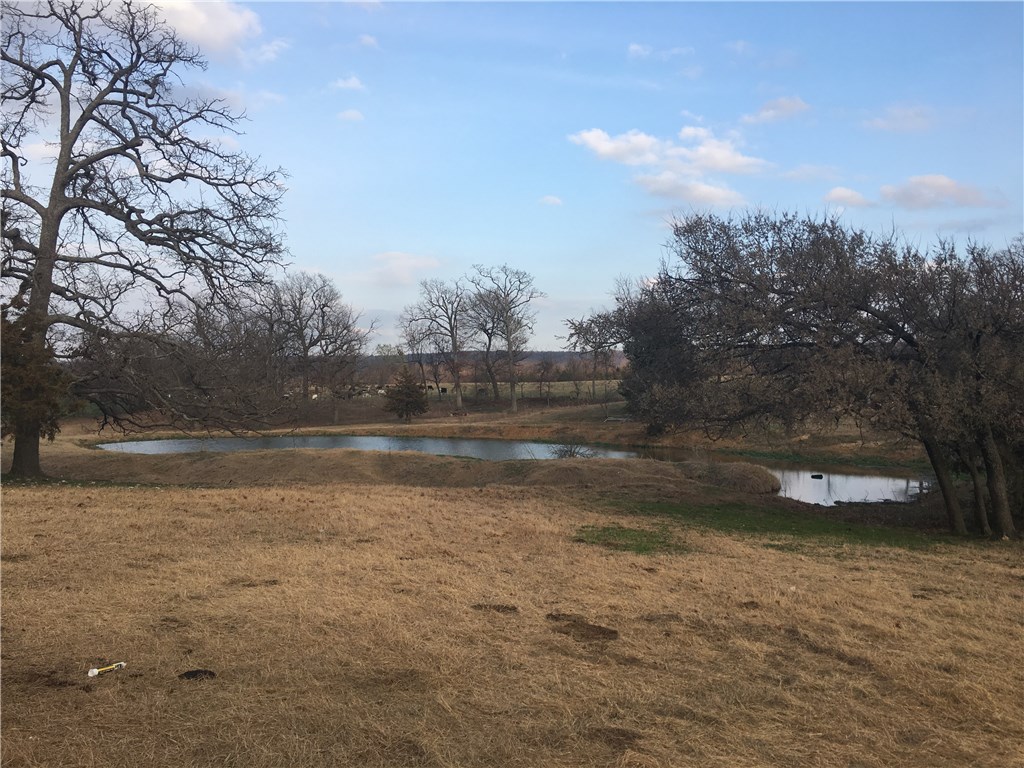Broilerville - Farm