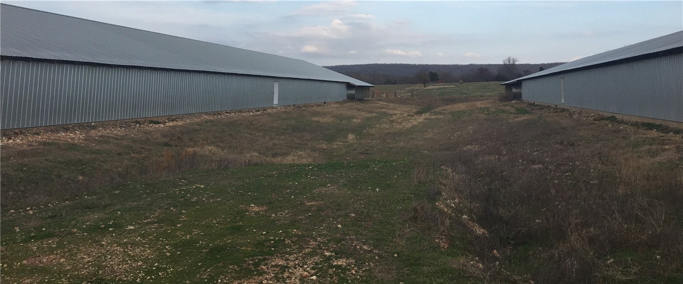 Broilerville - Farm