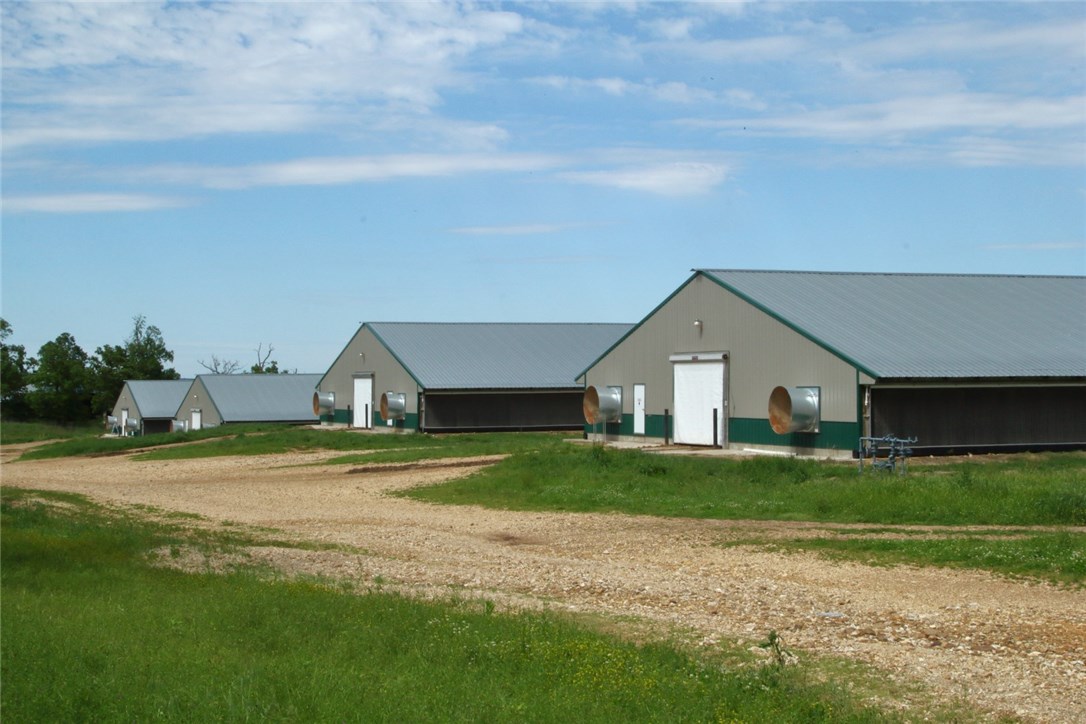 Broilerville - Farm