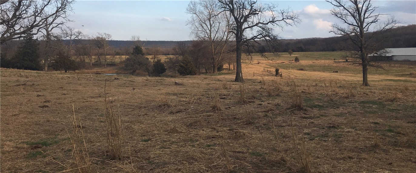 Broilerville - Farm