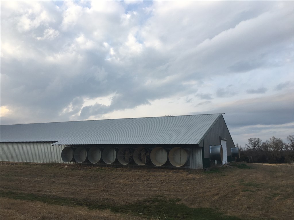 Broilerville - Farm