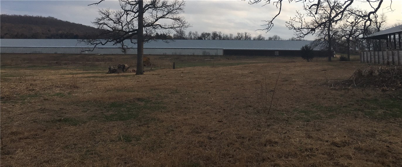 Broilerville - Farm