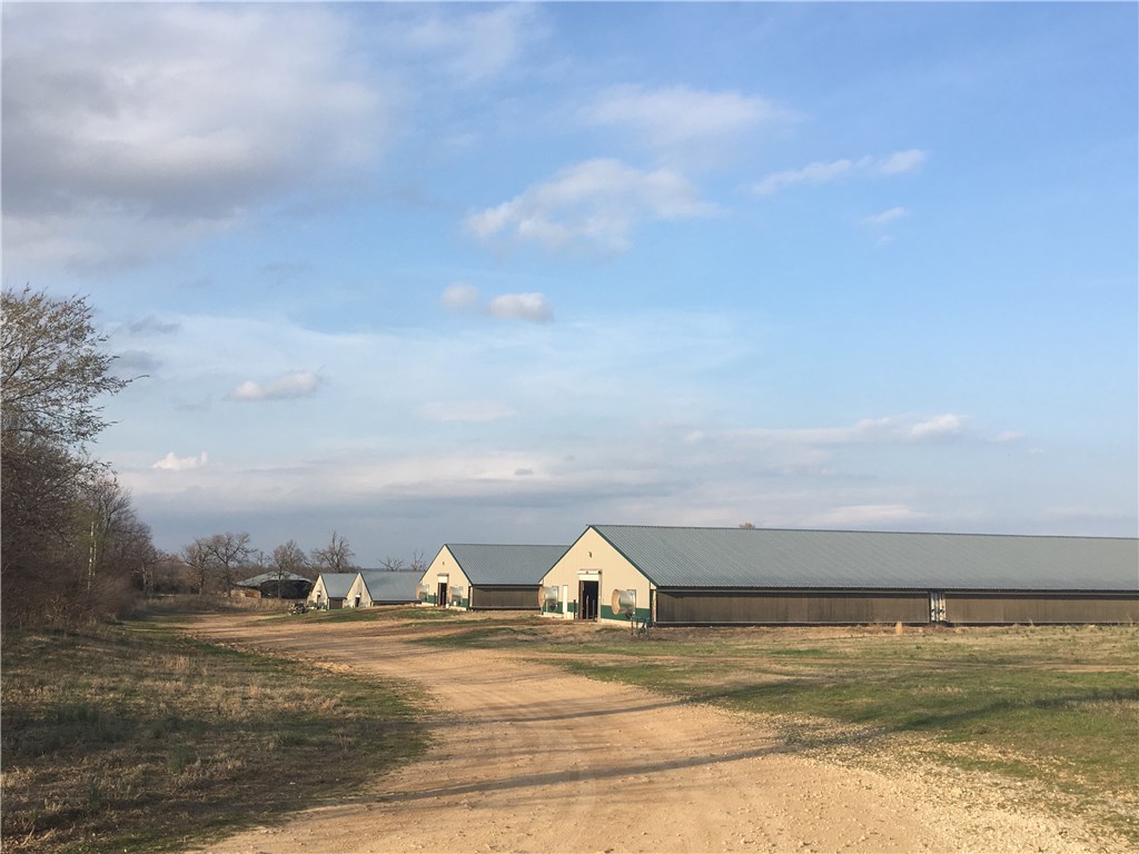 Broilerville - Farm