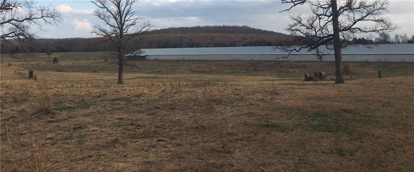 Broilerville - Farm