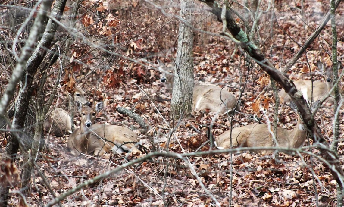 Shetland Sub Bvv - Residential