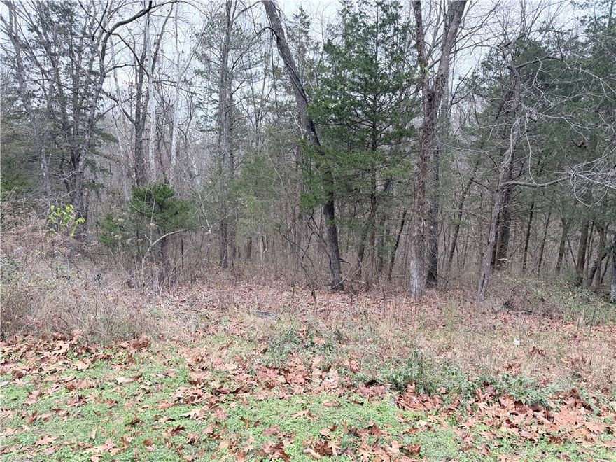 Build your dream home on this beautiful 0.28-acre lot in Bella Vista, Arkansas, tucked on a quiet cul-de-sac. This property features a very gentle slope, making it versatile for a variety of home designs. With approx. 150 feet of depth on each side, you’ll have plenty of room to create the layout and outdoor spaces you’ve envisioned. Enjoy Bella Vista’s incredible lifestyle—scenic trails, pristine lakes, world-class mountain biking, golf, and all the amenities of a thriving community. Whether you’re planning a primary residence or a peaceful getaway, this lot offers the ideal starting point. Check it out today!