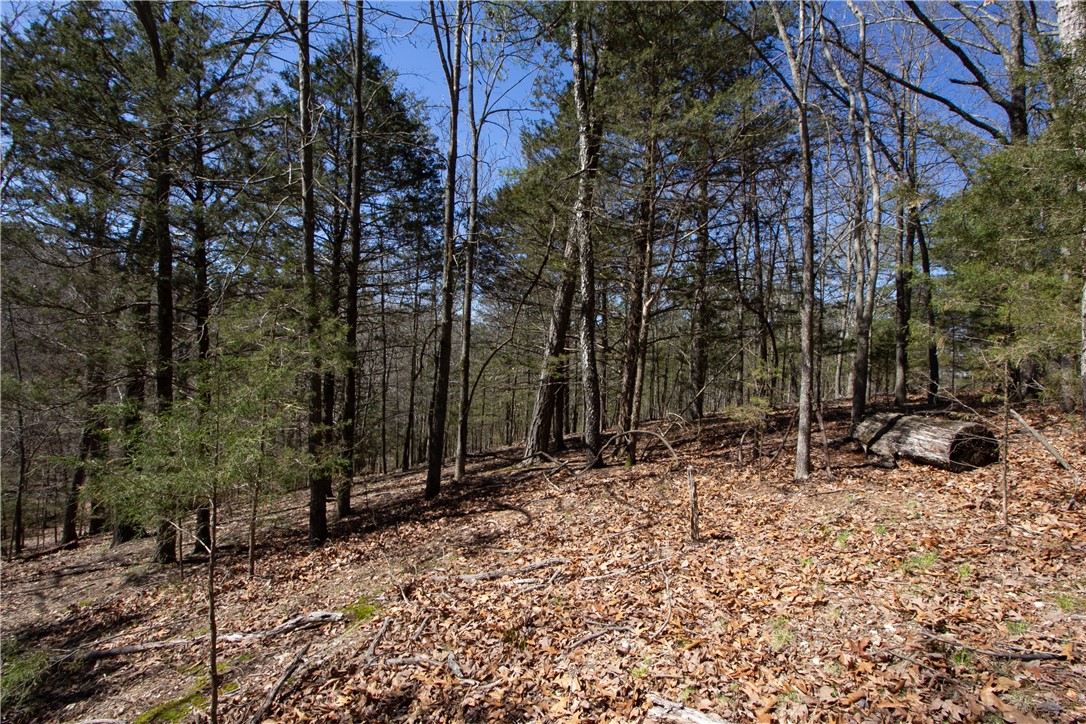 Tanglewood Resort No 2-Rurban - Land