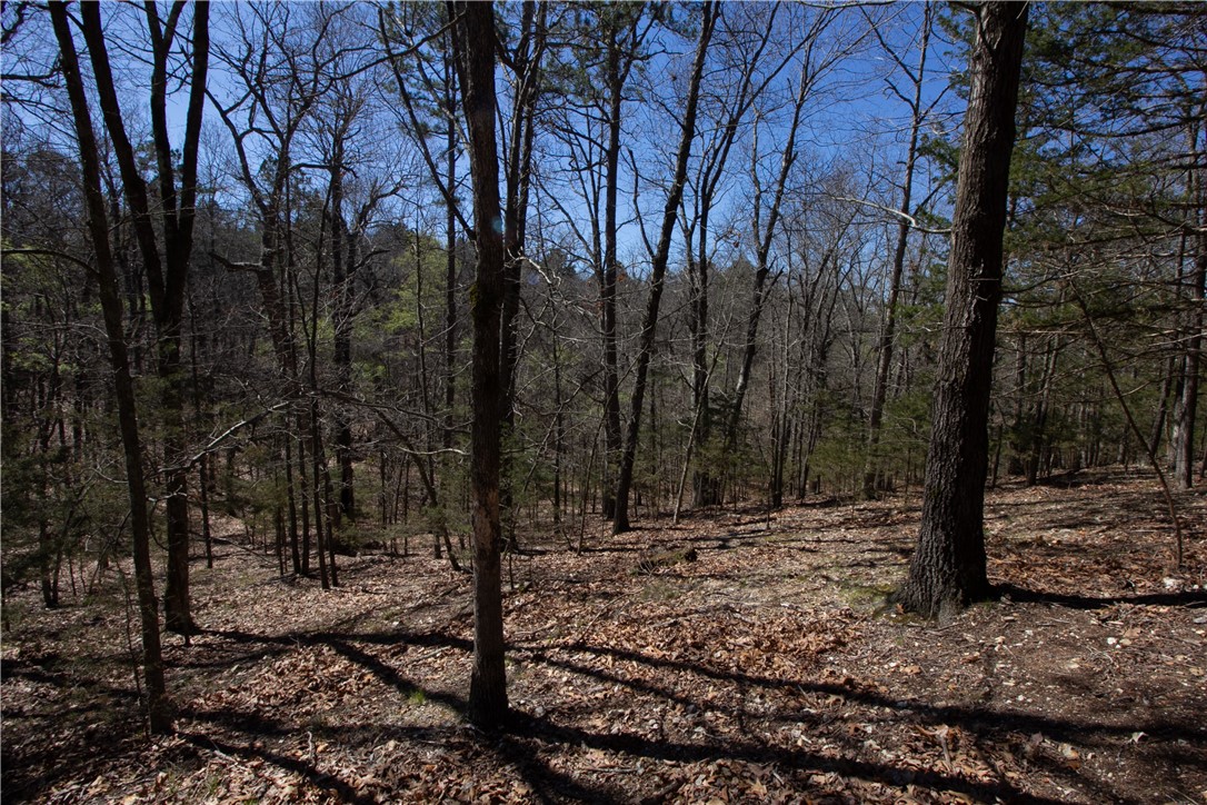 Tanglewood Resort No 2-Rurban - Land
