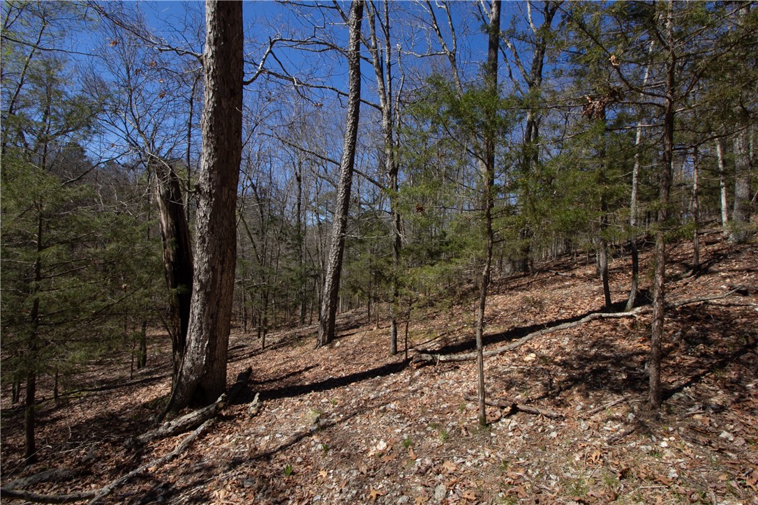 Tanglewood Resort No 2-Rurban - Land