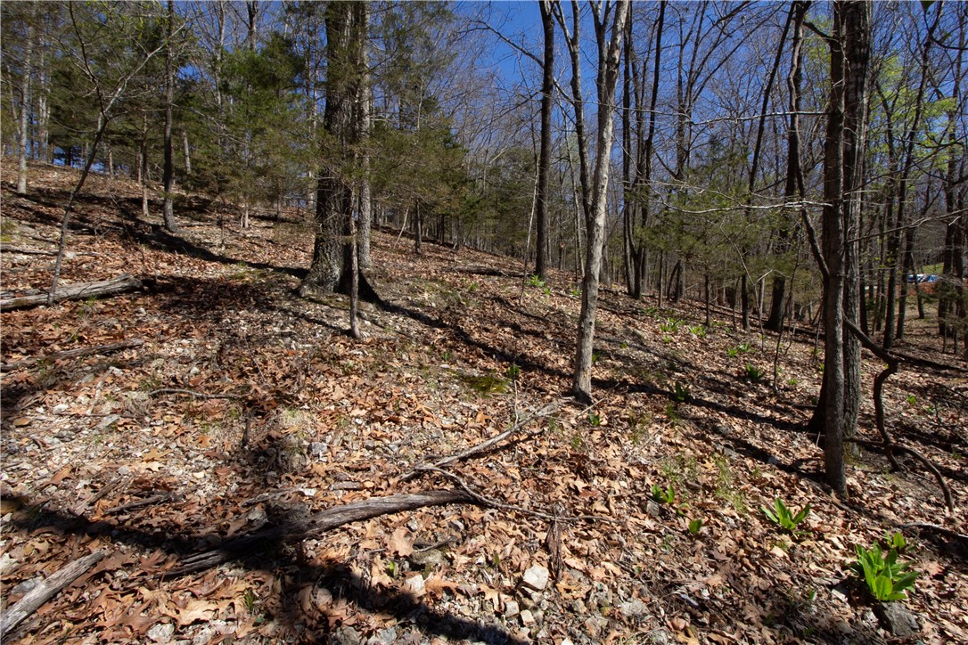Tanglewood Resort No 2-Rurban - Land