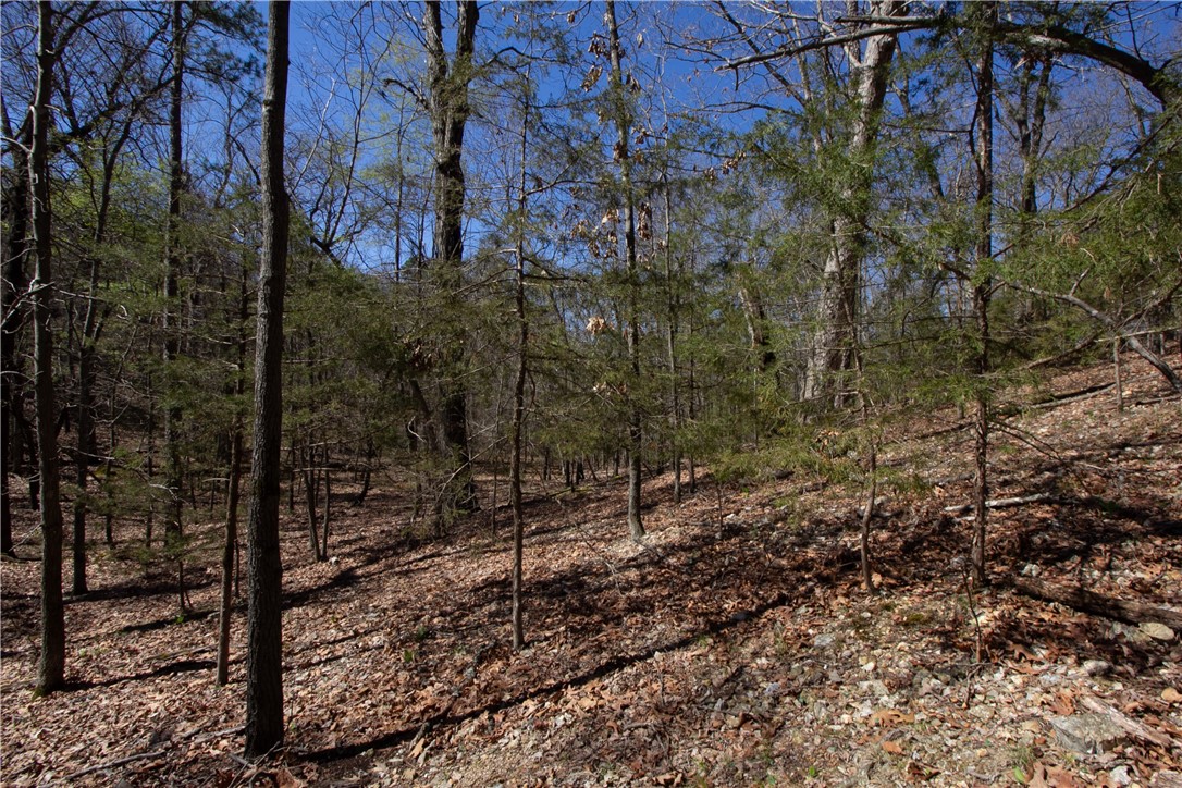Tanglewood Resort No 2-Rurban - Land