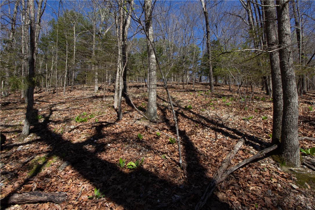 Tanglewood Resort No 2-Rurban - Land