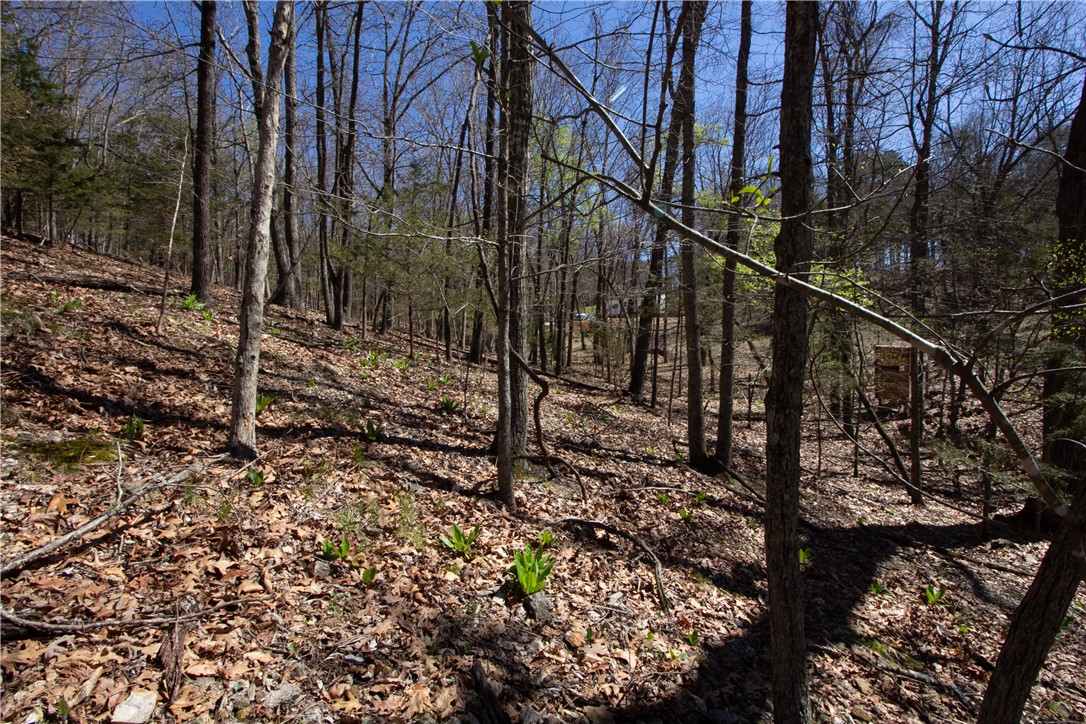Tanglewood Resort No 2-Rurban - Land