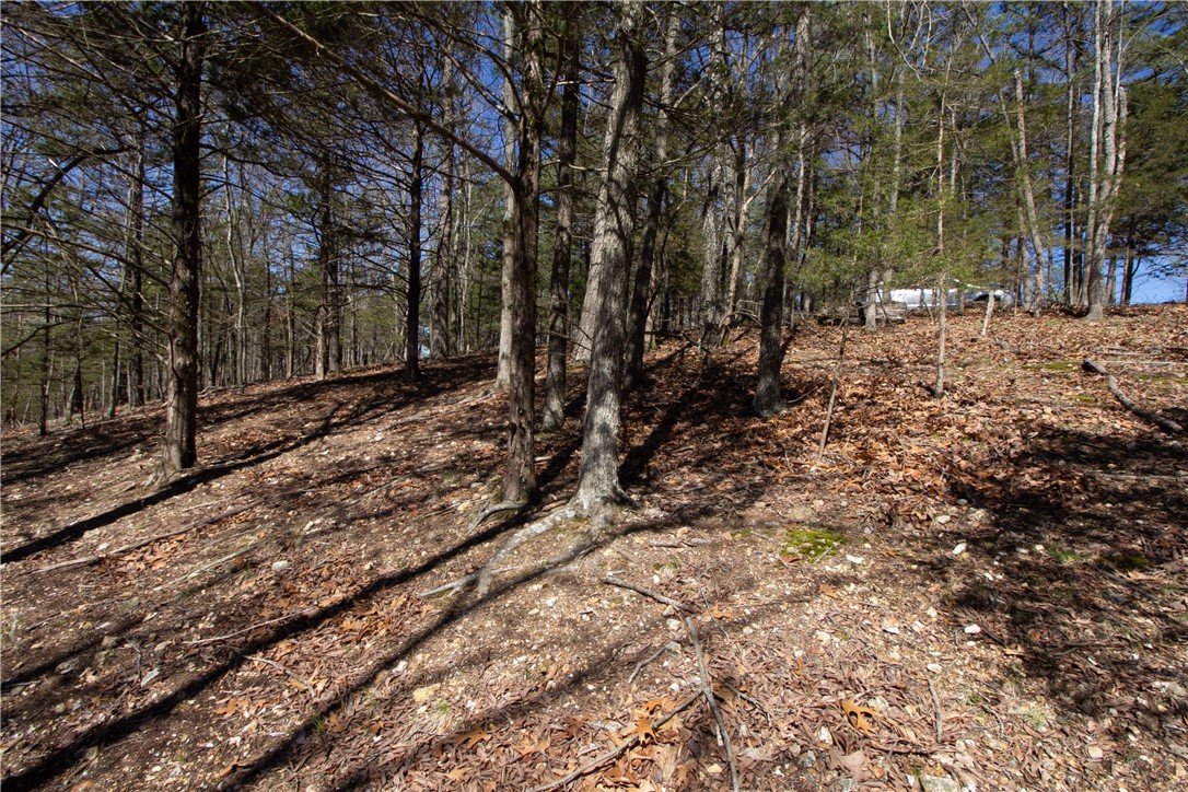 Tanglewood Resort No 2-Rurban - Land