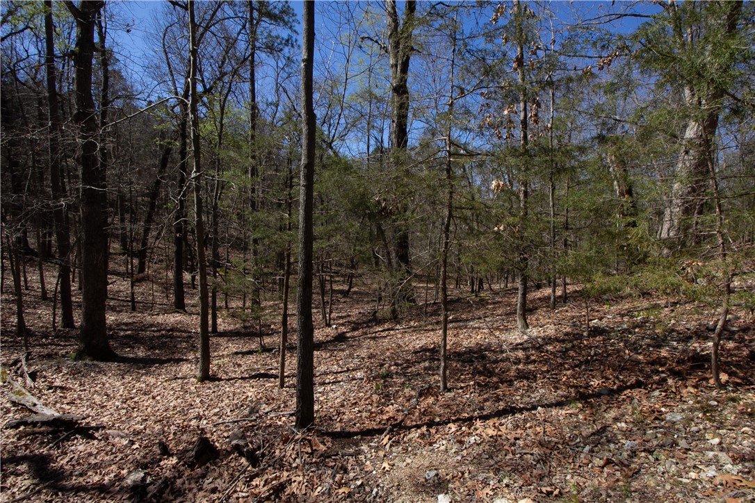 Tanglewood Resort No 2-Rurban - Land