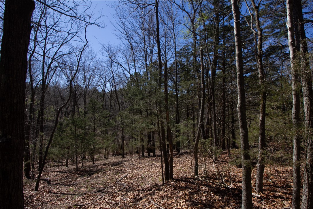 Tanglewood Resort No 2-Rurban - Land