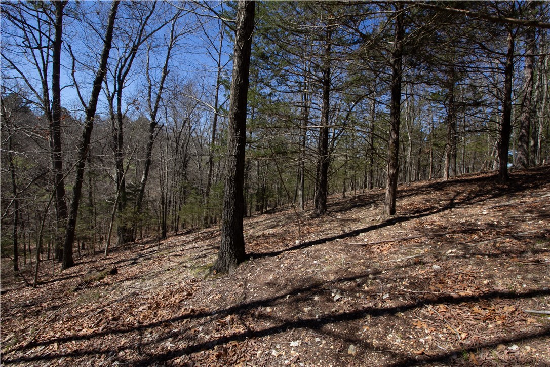 Tanglewood Resort No 2-Rurban - Land