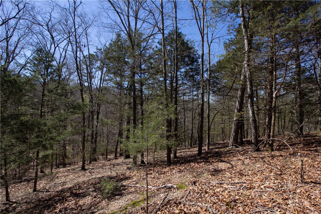 Tanglewood Resort No 2-Rurban - Land