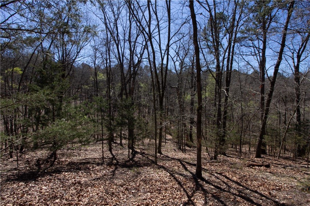 Tanglewood Resort No 2-Rurban - Land