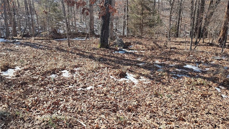 Sewer Lot! Buildable lot with a Great location! The adjoining lot is also available, ML# 1334665.