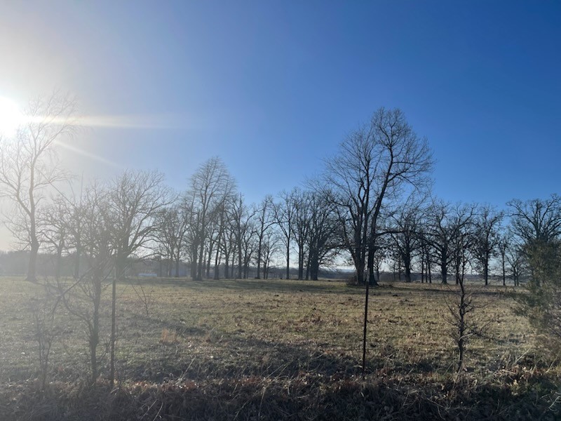 Great development acreage or beautiful farm on the edge of Farmington. Area of new home development. Two sides are bordered by paved roads, Rheas Mill Road and Wesley Stevens Road.
Seller will retain Mineral Rights. Buyer must prove financial ability to close the contract prior to consummation of a Sales Contract. See the attachment for Sales Requirements.