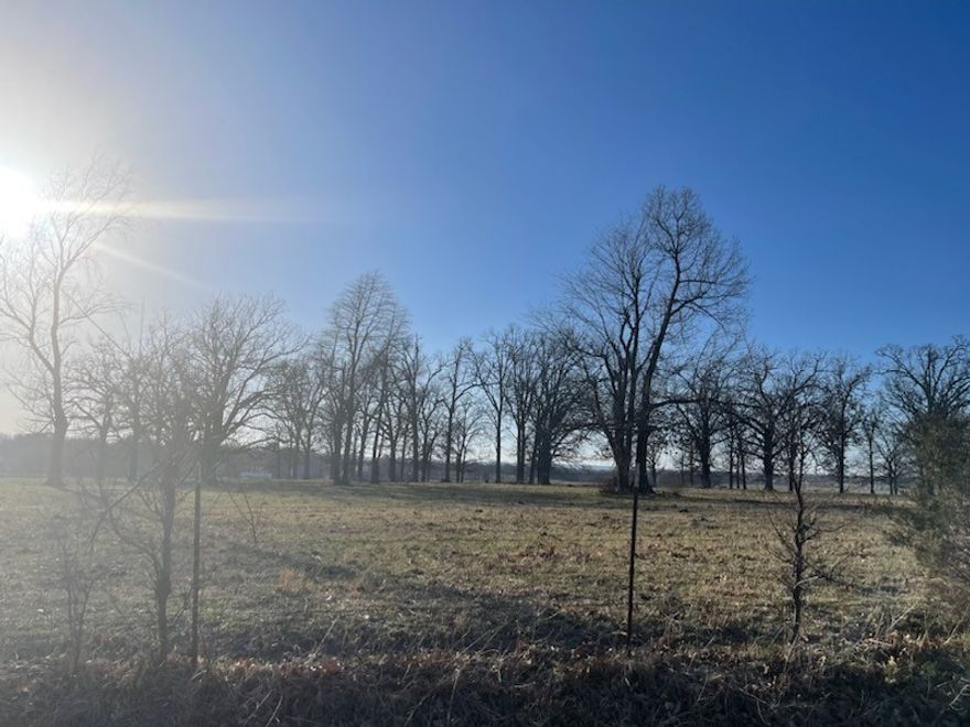 Great development acreage or beautiful farm on the edge of Farmington. Area of new home development. Two sides are bordered by paved roads, Rheas Mill Road and Wesley Stevens Road.
Seller will retain Mineral Rights. Buyer must prove financial ability to close the contract prior to consummation of a Sales Contract. See the attachment for Sales Requirements.