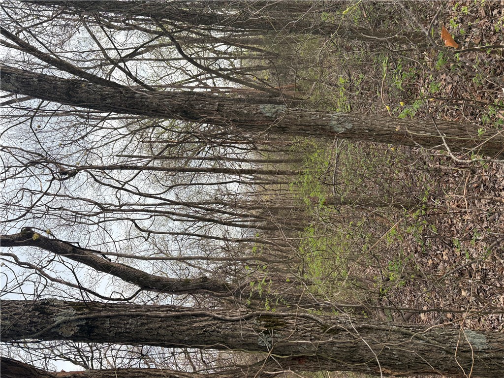 Posy Mountain Ranch Unit 7 Rurban - Land