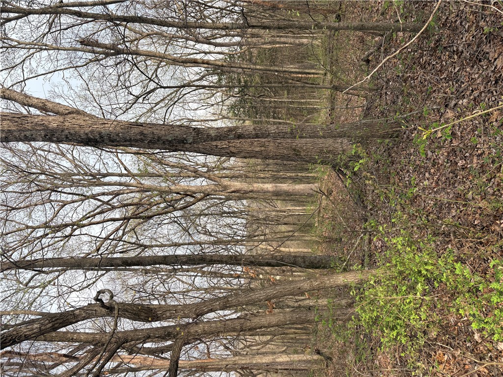 Posy Mountain Ranch Unit 7 Rurban - Land