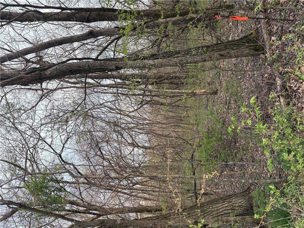 Posy Mountain Ranch Unit 7 Rurban - Land