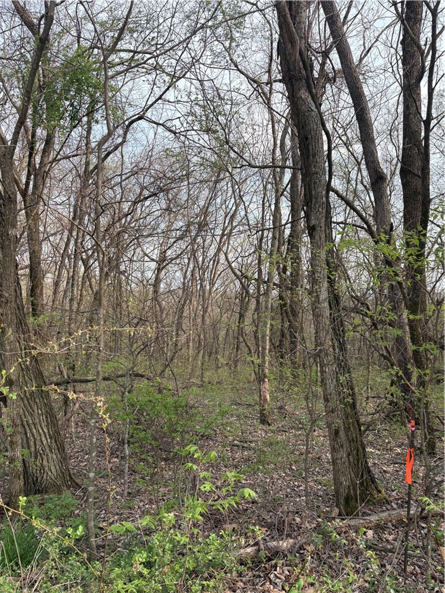 How about almost an acre and a half of buildable land in Posy Mountain Ranch where the air is fresh and the deer roam free?  Come and build your dream home in the country, away from the bustle of the big city.