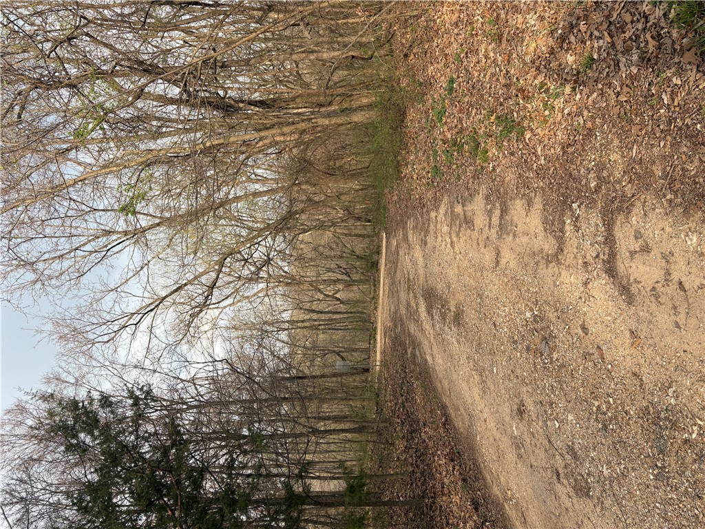 Posy Mountain Ranch Unit 7 Rurban - Land