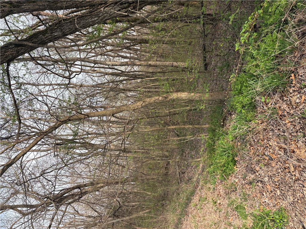 Posy Mountain Ranch Unit 7 Rurban - Land