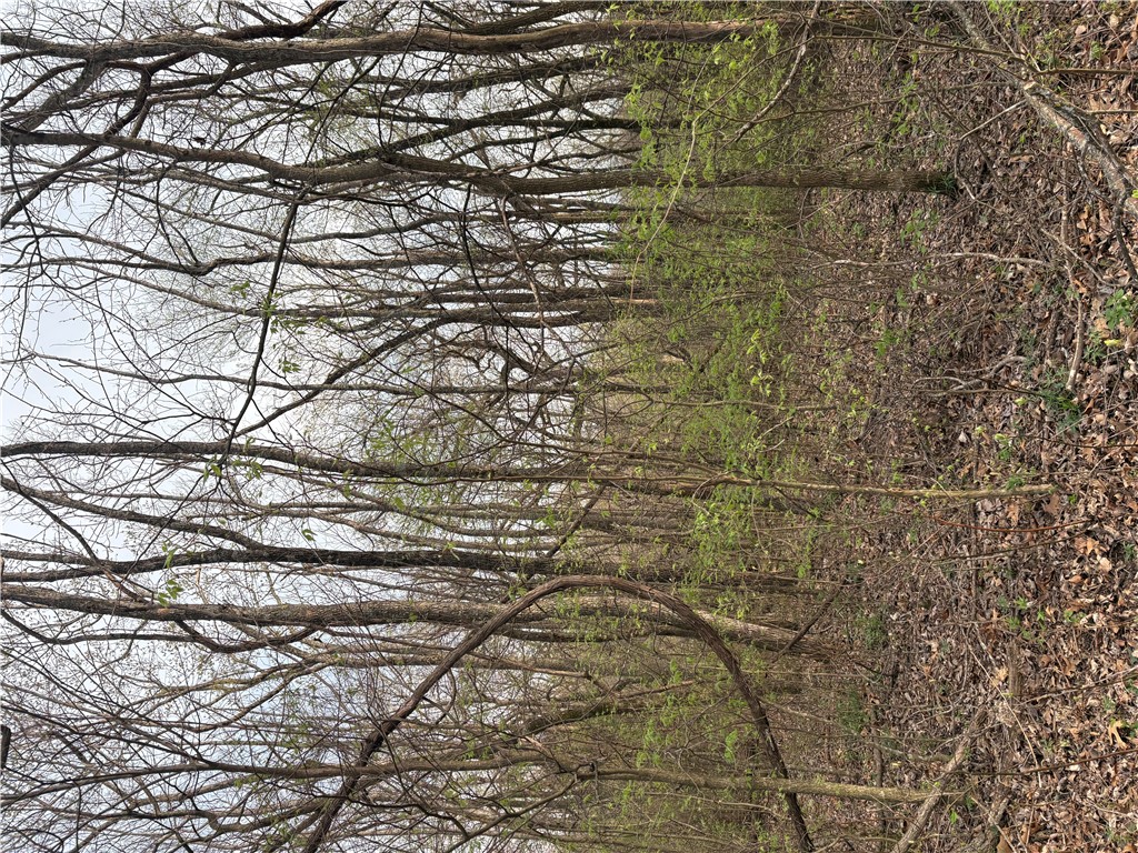 Posy Mountain Ranch Unit 7 Rurban - Land