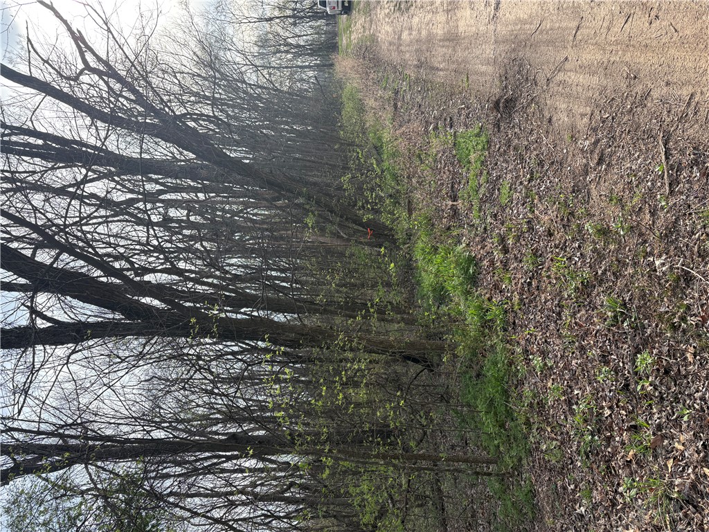 Posy Mountain Ranch Unit 7 Rurban - Land