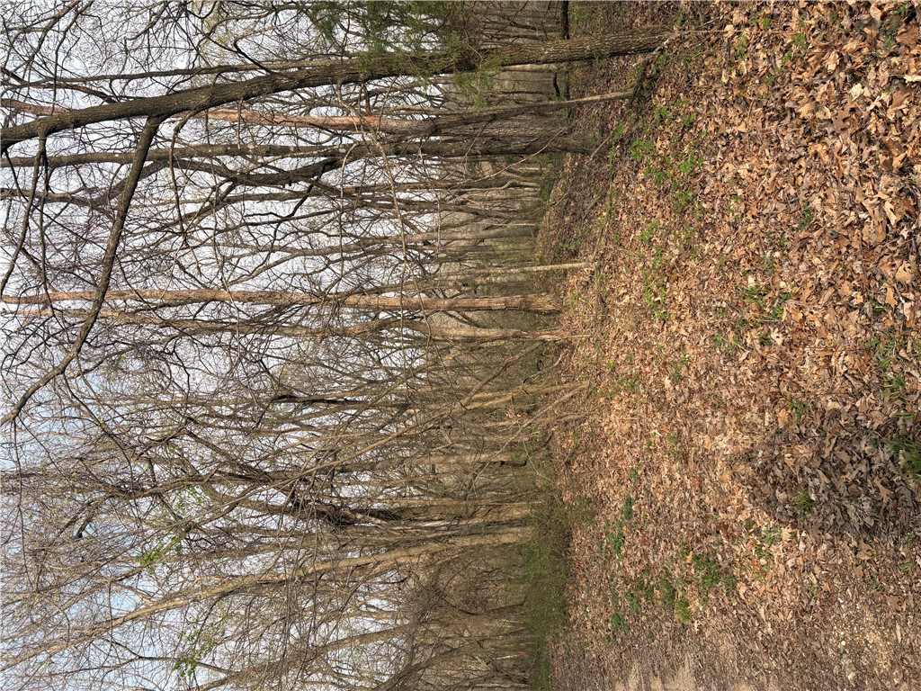 Posy Mountain Ranch Unit 7 Rurban - Land