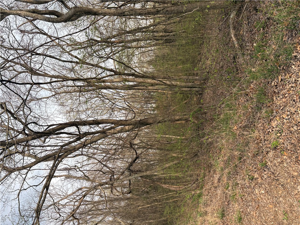 Posy Mountain Ranch Unit 7 Rurban - Land