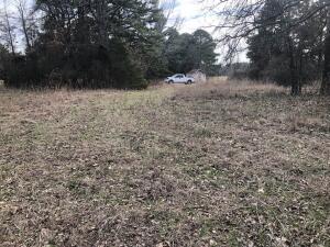 READY TO BUILD YOUR DREAM HOME? This property offers a bluff view overlooking Gum Log & the Center Valley area plus mountain views. The dead end road offers privacy & seclusion. Located in the Pottsville School District.