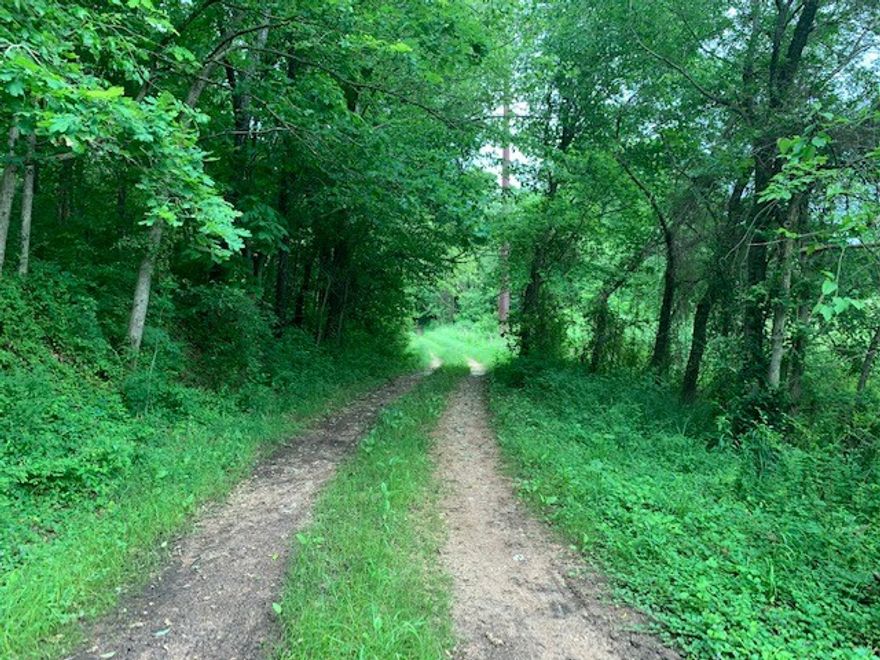 Great building site. 6.83 acres of a nice private wooded driveway opening up to a beautifully fenced pasture. City water is located across Hwy 59.