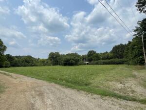 Lots for sale in Dover with established utilities and access. Purchase price is for each lot individually.