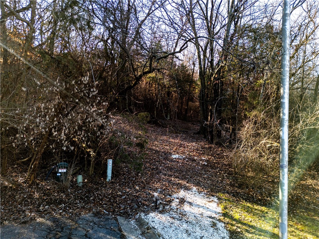 Sunset Woods - Land