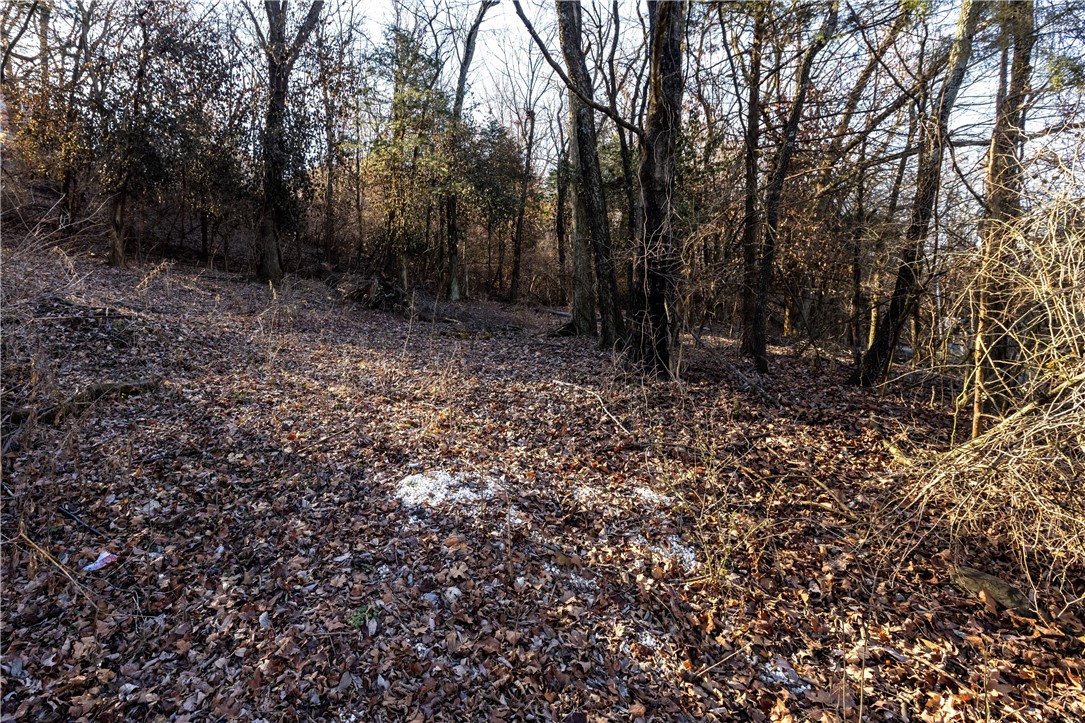 Sunset Woods - Land