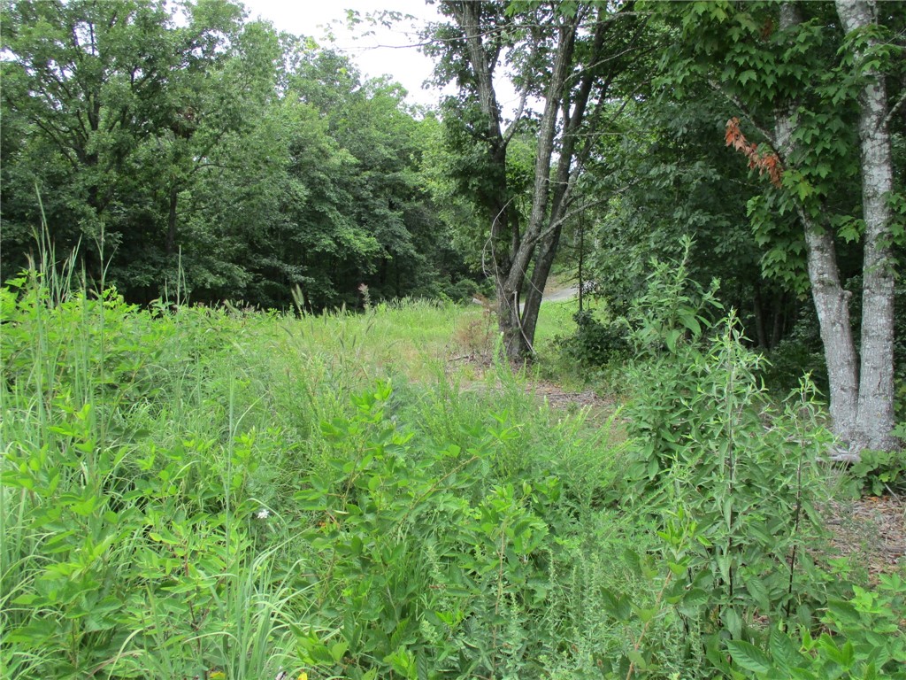 Flat 1/2 acre lot, easily buildable, and located on the outskirts of Bella Vista in a quiet neighborhood. Survey, perk test and septic layout has already been done for you. (See Attachments) Close to Metfield club house, golf and trails. Still in Bentonville school district and easy access to I- 49. These type of lots don't become available often so get it while you can.
