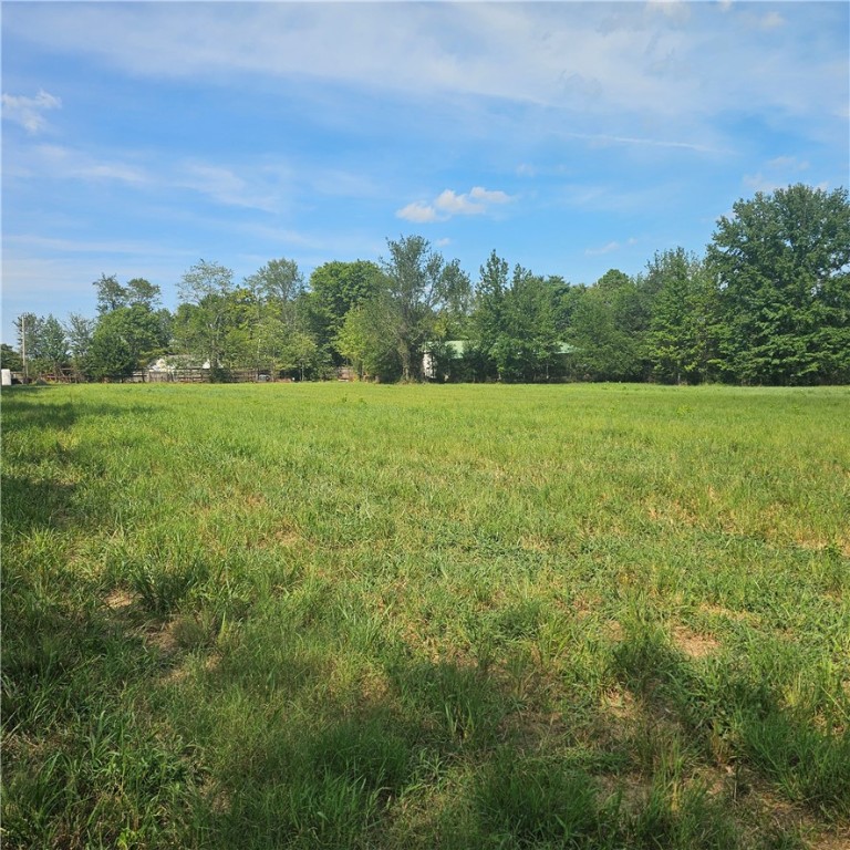 Discover the perfect balance of outdoor adventure and small-town charm with this 2 + acres property located at the foot of scenic Mount Nebo. Surrounded by natural beauty, this land offers easy access to hiking trails, mountain bike paths, and the nearby National Forestāmaking it an ideal spot for nature lovers, outdoor enthusiasts, or anyone looking for a peaceful getaway.
Just minutes from Dardanelle, youāll enjoy the convenience of local restaurants, shopping, and community events, all while maintaining the privacy and tranquility of a country setting.
Whether youāre dreaming of building a weekend retreat, your forever home, or simply investing in land near one of Arkansasās most beautiful natural attractions, this property is full of potential.