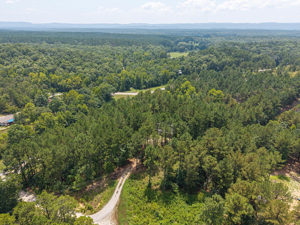 Rural Acreage - Residential
