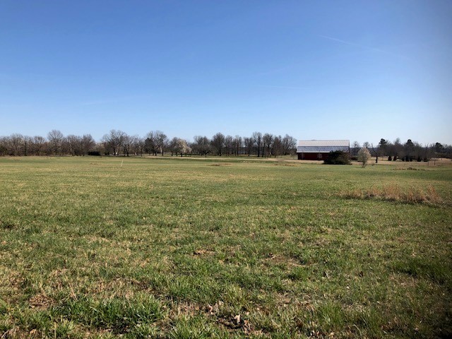 Prime location for a residential development in one of the fastest growing & most desired areas of Fayetteville! Approx 37 acres. Preliminary plat for subdivision has already been approved by the City. See realtor for details. Property is located just south of Dogwood Canyon Estates. Site is just a short distance from schools, sports complex, Red Barn Event Center, Sam's Club, Blessings Golf Cub, Hwy 112 & I-49!