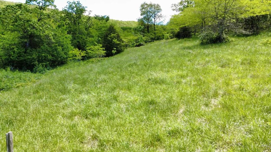 Hunting Enthusiasts check this out! Large Acreage of rolling hills and wooded ground makes this piece a future site of private paradise. 2 parcels combined make up this wooded retreat of 170 acres. Wet weather creek lines the road upon entry -Originally the family homestead, the property offers a septic and well both left behind after a fire. The home foundation still stands in memory of years gone by, along with the old barn full of nostalgia. With some clean up, this diamond in the rough would make for a getaway cabin. Close enough to town for the conveniences, but hidden away from the everyday hustle. Family Cemetery on site