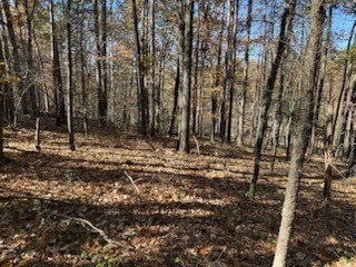 Oxford Sub Bvv - Land