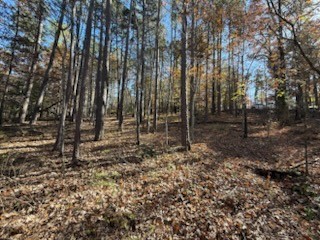 Oxford Sub Bvv - Land