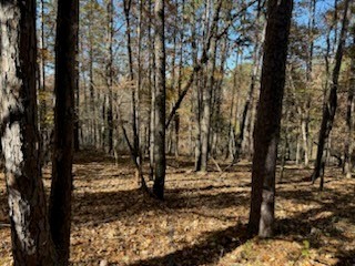 Oxford Sub Bvv - Land