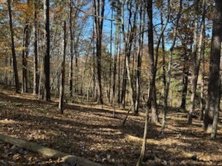 Oxford Sub Bvv - Land